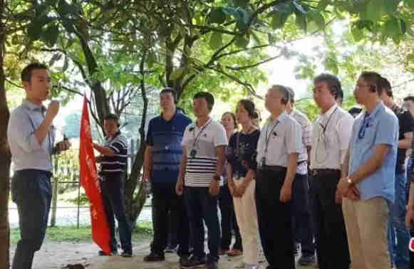 外企員工適應井岡山紅色團建嗎？ 外企井岡山團建指南